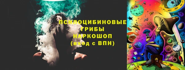 ПСИЛОЦИБИНОВЫЕ ГРИБЫ Кукмор