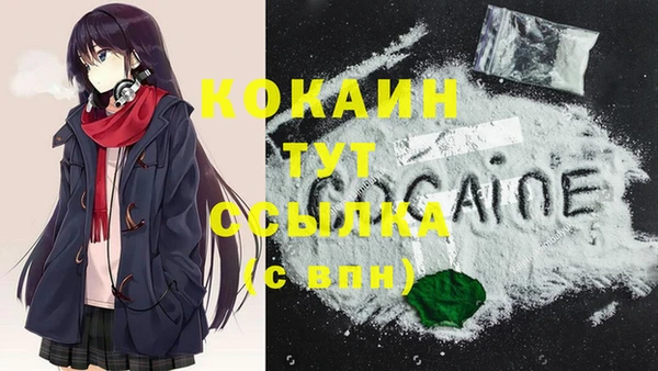 ПСИЛОЦИБИНОВЫЕ ГРИБЫ Кукмор