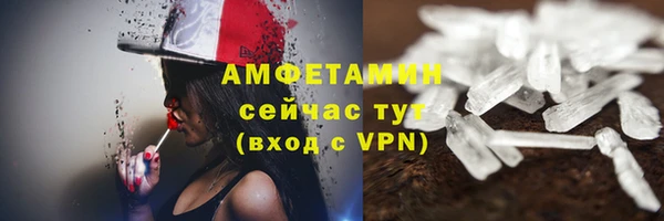 ПСИЛОЦИБИНОВЫЕ ГРИБЫ Кукмор