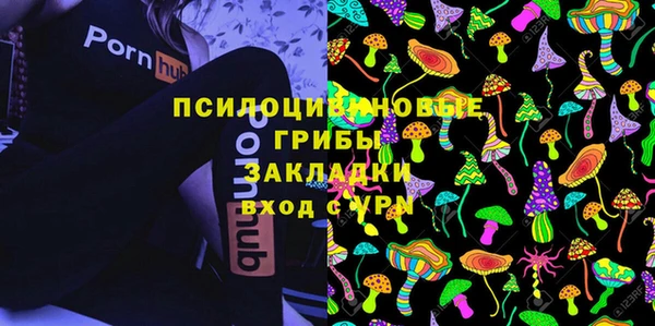 spice Куйбышев