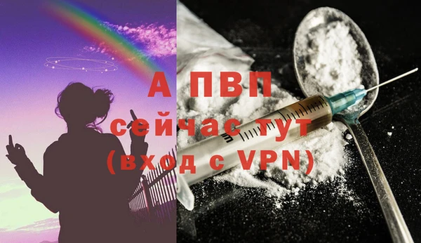 spice Куйбышев