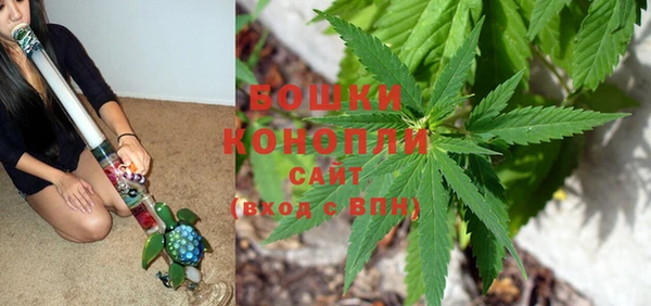 ПСИЛОЦИБИНОВЫЕ ГРИБЫ Кукмор
