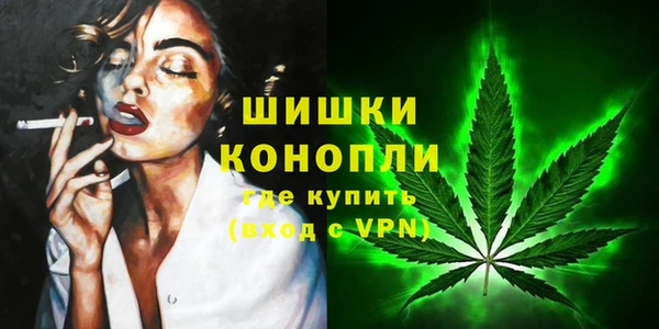 ПСИЛОЦИБИНОВЫЕ ГРИБЫ Кукмор