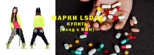 ПСИЛОЦИБИНОВЫЕ ГРИБЫ Кукмор