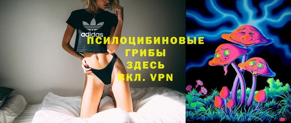 spice Куйбышев