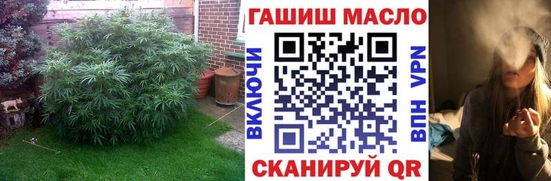 Купить где Котлас Дистиллят ТГК вейп